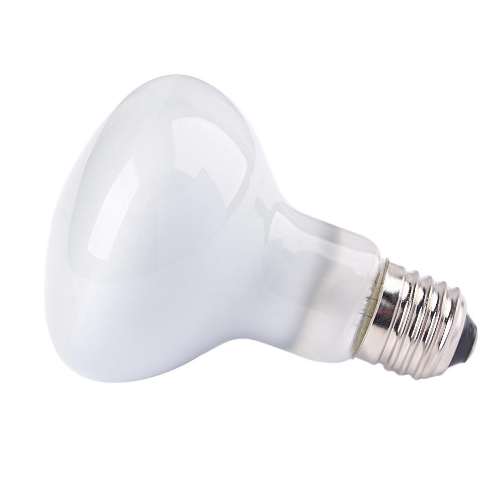 Basking Bulb Halogen - Hagedis Temperatuurregelaar Warmtelamp Halogeenlamp Zonnebadlamp UVA-licht